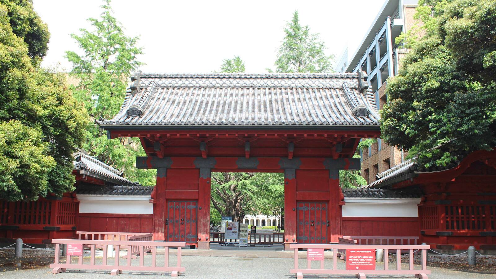 ｢勝因はコタツ｣子供4人が東大医学部に合格…食後すぐ勉強に向かえる佐藤ママ宅のリビングのすごい配置 3人の母親で計7人の子供を"東大理系"に合格させた魔法の声かけ術