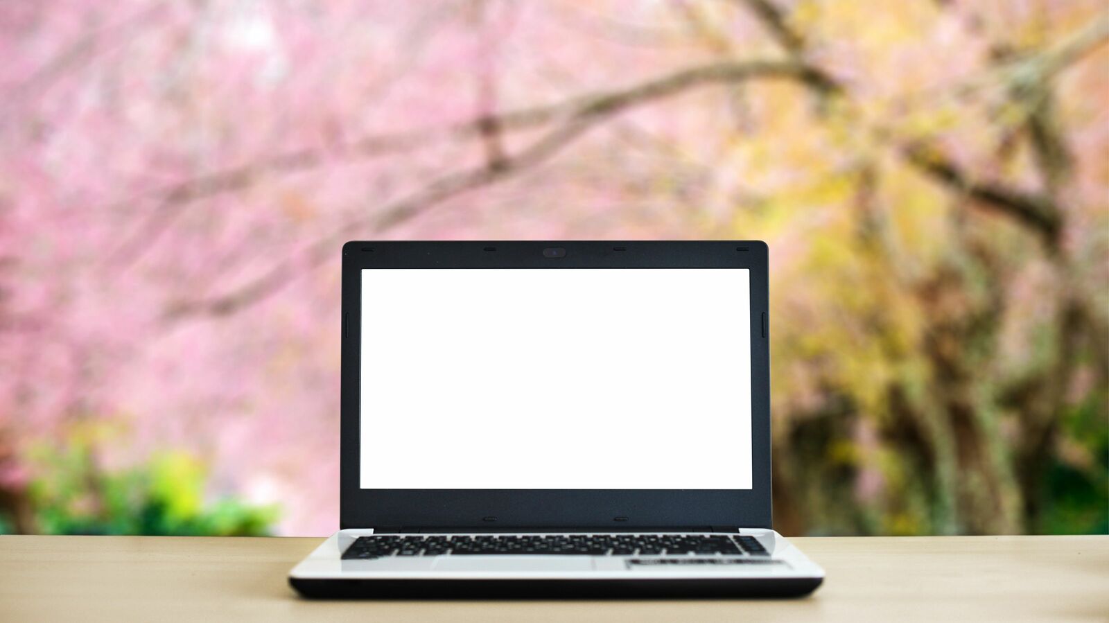 最後の一文が普通じゃない｢去ってからも連絡がもらえる｣異動･退職の挨拶メール メールでの別れでも関係性が切れないとっておきのアレンジ文例集