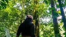 木の実でも果物でもない…ジャングルで遭難した霊長類学者を救った"高たんぱく質の意外な食べ物"の名前