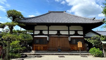 聖徳太子が祈った同じ場所で拝める｣日本最古・飛鳥大仏が国宝