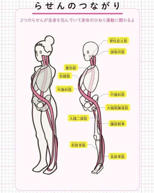 【イラスト】らせんのつながり
