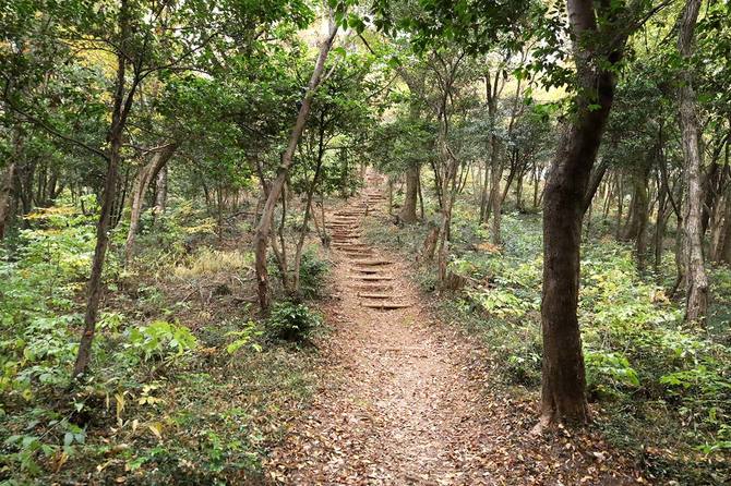 中腹にはやや傾斜があるが広大な平地もある