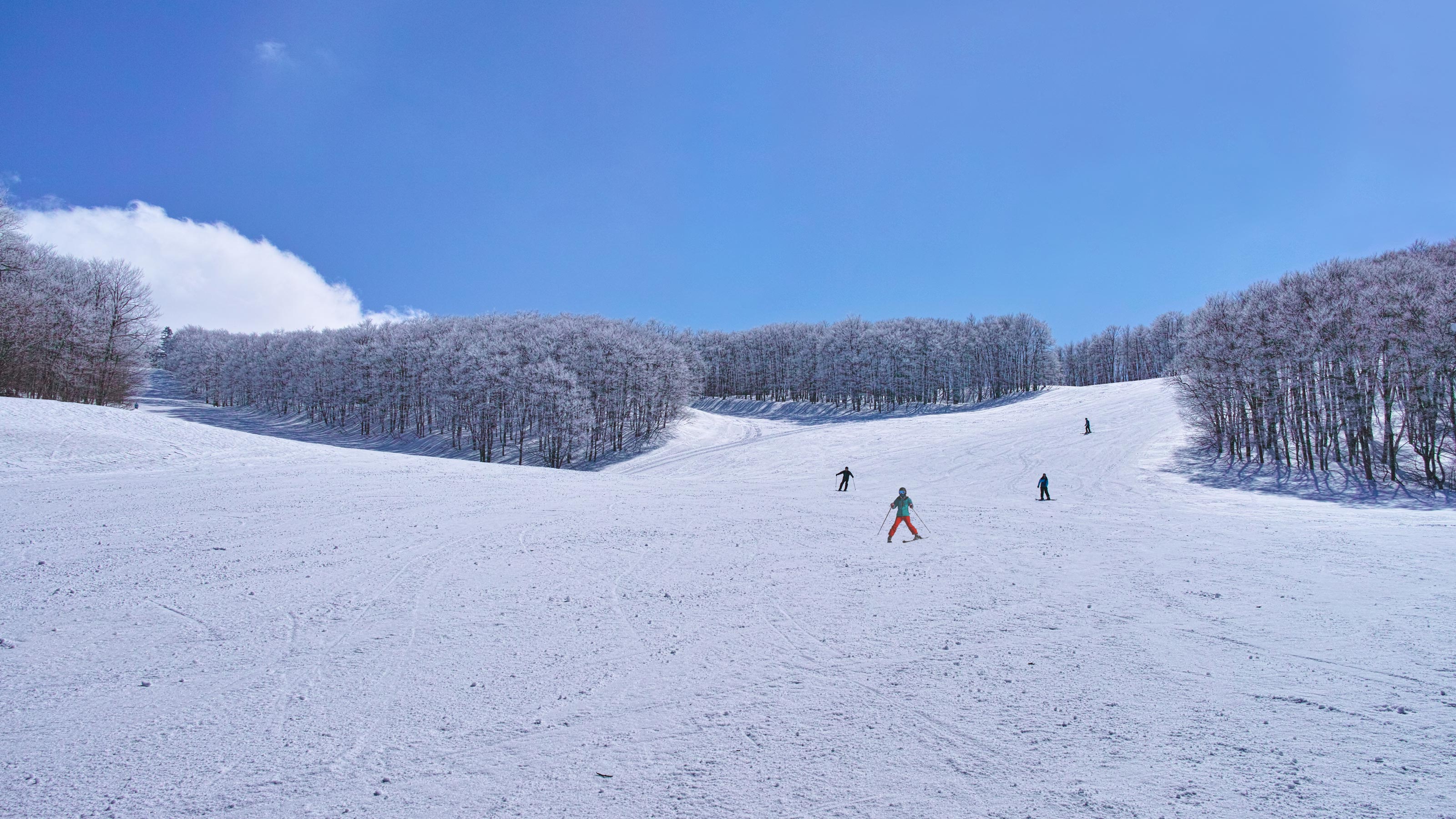 客数は7割減も 8割は営業中 いつもガラガラなスキー場はなぜ潰れないのか これから始まる 大淘汰 の中身 president online プレジデントオンライン