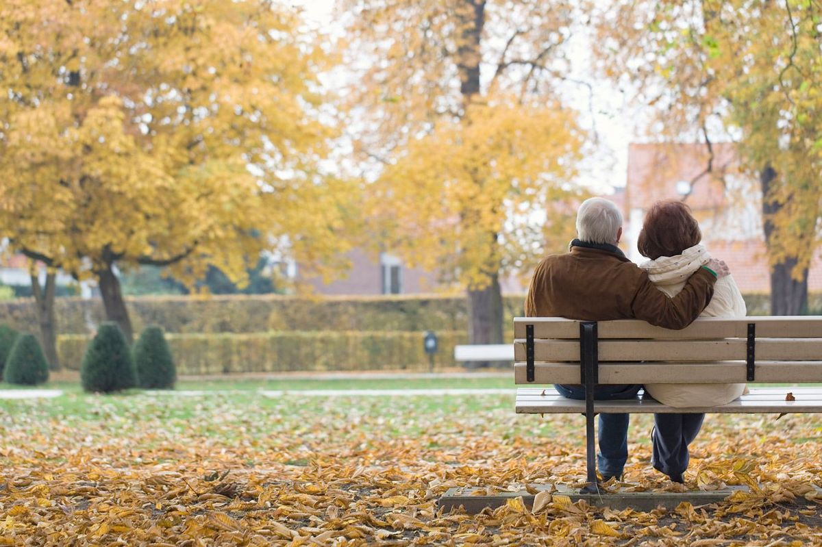 公園のベンチに座る年配のカップル