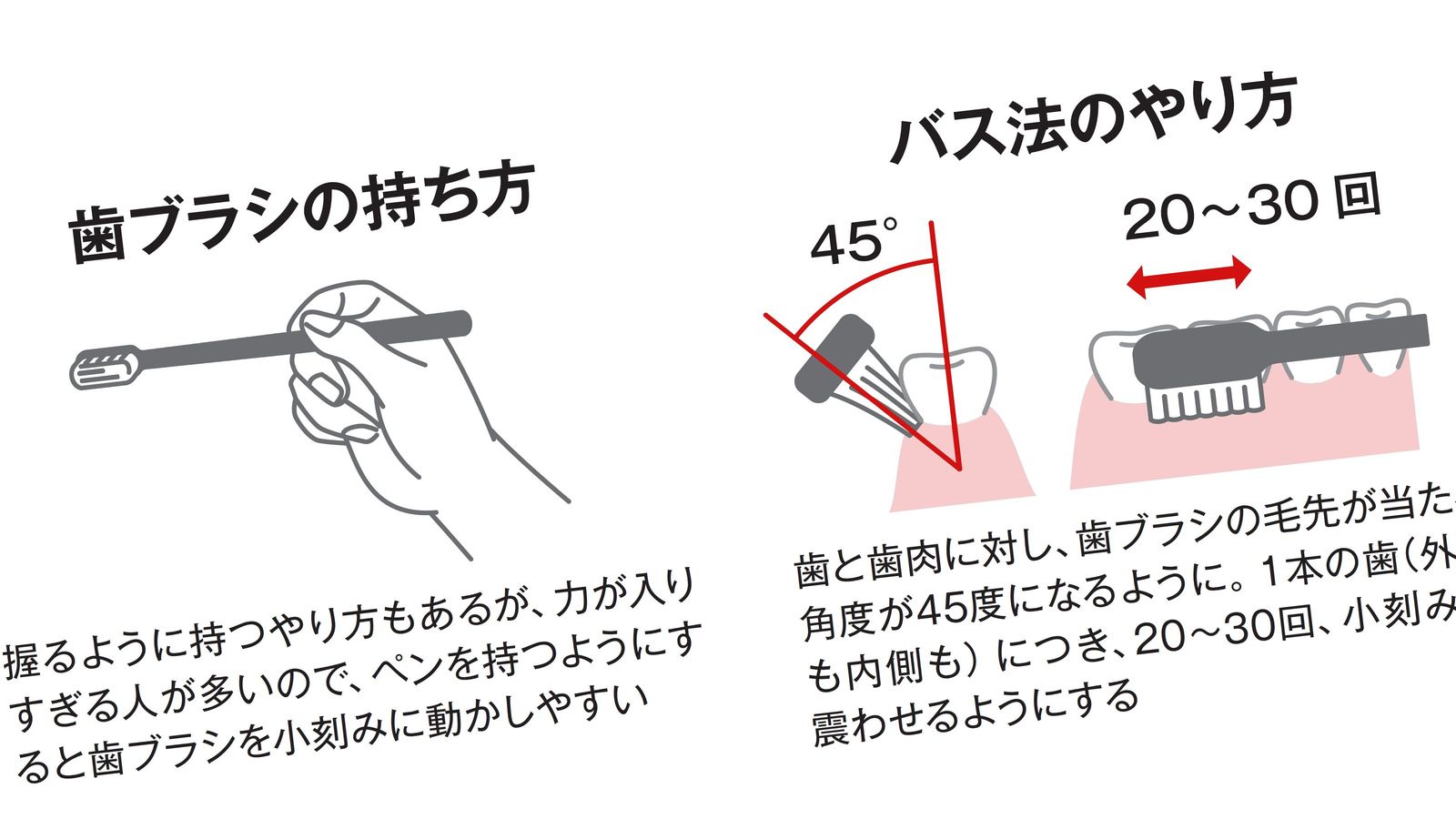 3分歯磨きでは｢食べられない｣老後が待ち受ける…歯周病とむし歯を生涯防ぐ｢鉄板の口腔ケア｣の中身 むし歯予防の｢スクラビング法｣､歯周病予防の｢バス法｣で5分ケア