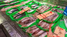 ダントツ日本一の水揚げ量なのに8割は人間の口に入らない…｢刺身にしたらうまそう｣あまりに不遇な魚の名前