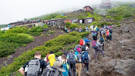 人気 富士山 スニーカー