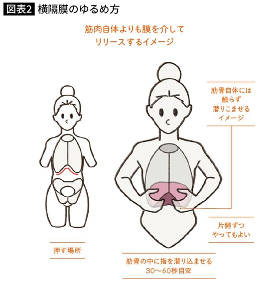 横隔膜のゆるめ方