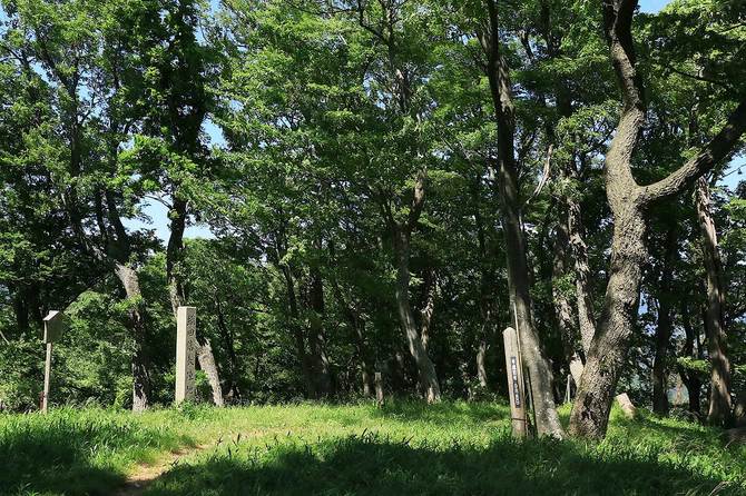虎御前山城の最高所にある伝織田信長陣跡