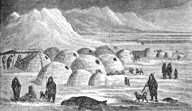 イヌイットの村が、飢えに苦しむ獣たちの餌食に（※写真はイメージです）