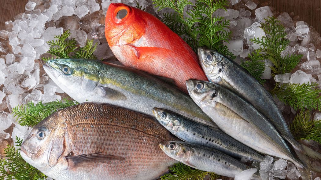 ｢血管を強くする魚｣がヨボヨボの原因に…焼く､煮る､揚げる､蒸すのうち｢老化促進物質AGEs｣が一番増える調理法