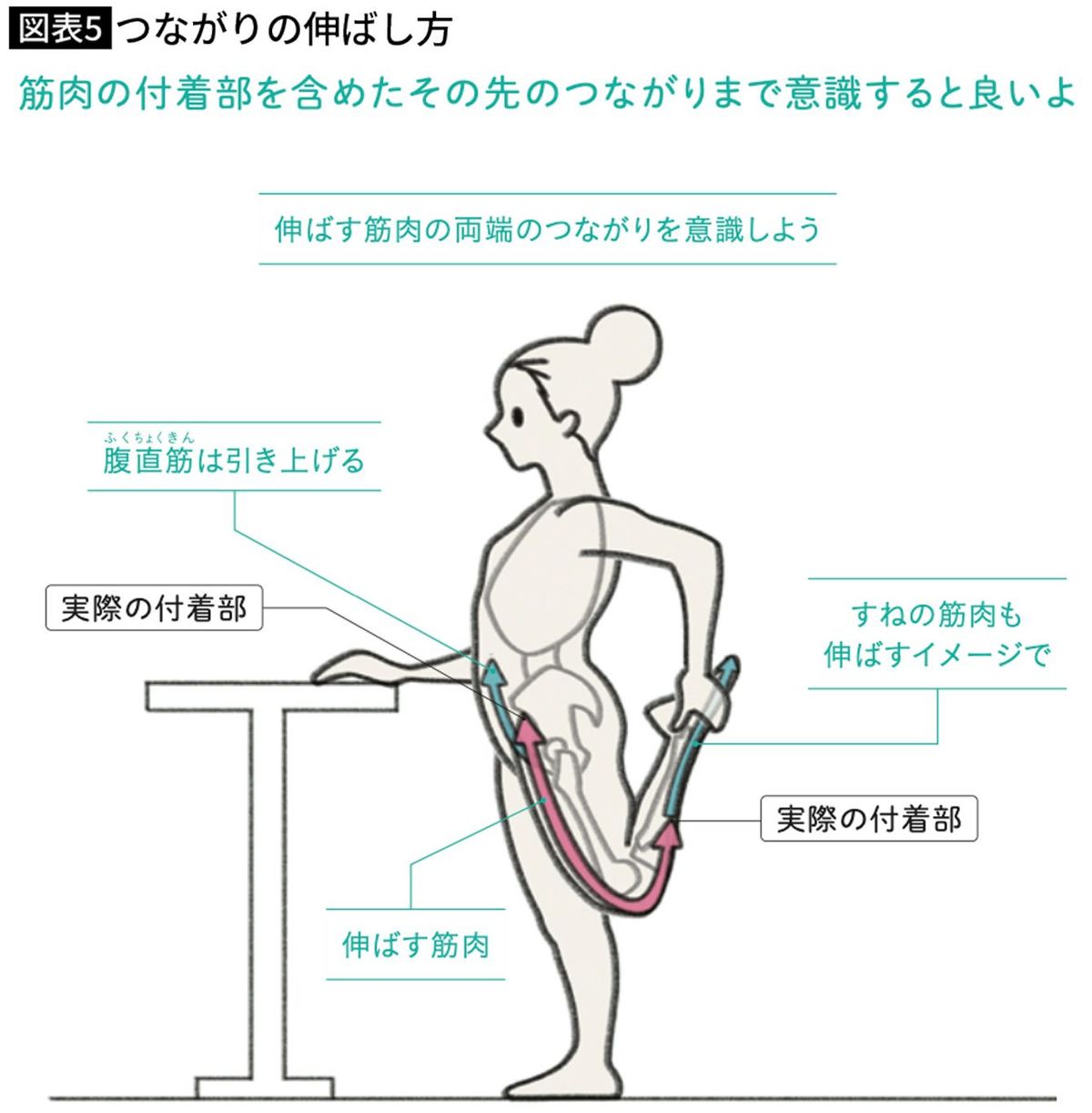 つながりの伸ばし方