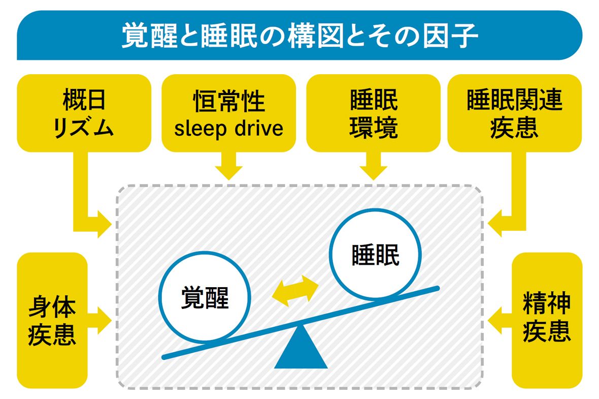 【図表】覚醒と睡眠の構図とその因子