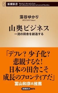 藻谷ゆかり『山奥ビジネス』(新潮新書)