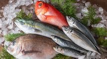 ｢血管を強くする魚｣がヨボヨボの原因に…焼く､煮る､揚げる､蒸すのうち｢老化促進物質AGEs｣が一番増える調理法