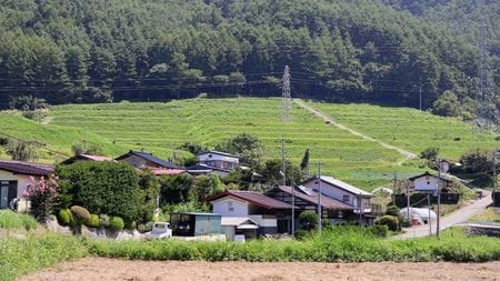 このままでは日本の農業がダメになる｣は大間違い…10年で4割の農家が