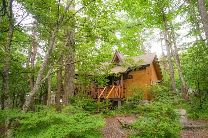 茂みに建つ1軒の家屋