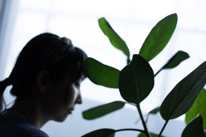 観葉植物と女性