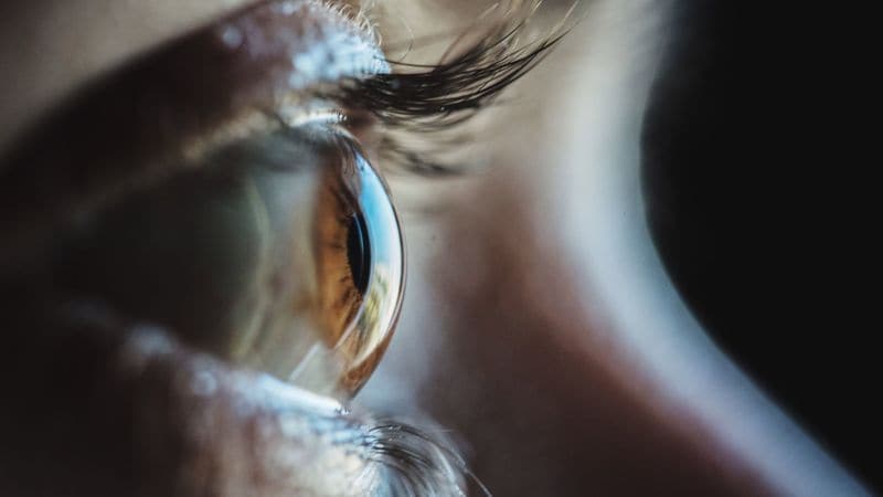 ブルーライトカットはほぼ無意味だった…｢目の老化｣を防ぐ7つの習慣 小さい字が読めない､目が疲れる､乾燥する