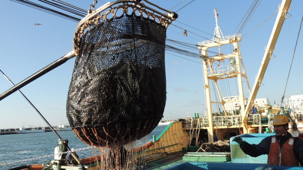 だからスーパーも定食も｢ノルウェー産サバ｣ばかり…日本人の食卓から｢国産サバ｣が消えつつある危機的理由 漁獲枠7割減でも効果は期待できない