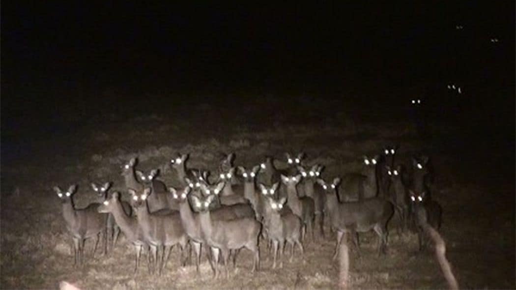 リニア開業が遅れるのも頷ける…｢自然とは何か｣も定義せずに｢自然を守れ｣と主張する静岡県の"牛歩戦術" 今度はシカの食害を防ぐ｢柵｣をJRにおねだり