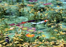 知られざるアートと美を追究する岐阜の旅