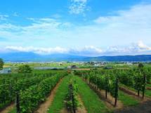 「地方移住」を考えるなら、国や自治体からの支援金を活用しよう！