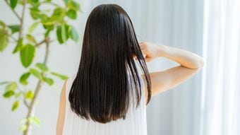 美しい髪がスープに浮いた途端｢汚い｣に変わるのはなぜか…文化人類学の第一人者が解明する"不快感"の正体