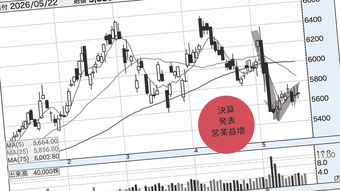 時価総額の上位企業から3社選んで買うだけ…投資のプロがずっと続けている｢オルカンより効果的な投資法｣