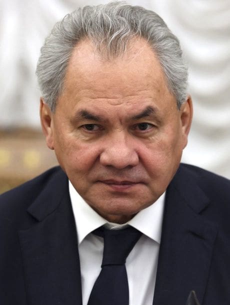 ロシア安全保障会議書記のセルゲイ・ショイグ氏