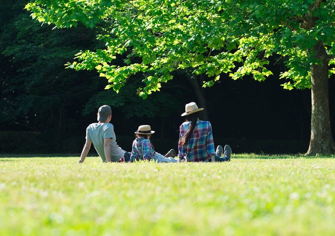 父と母と娘が芝生でリラックスします