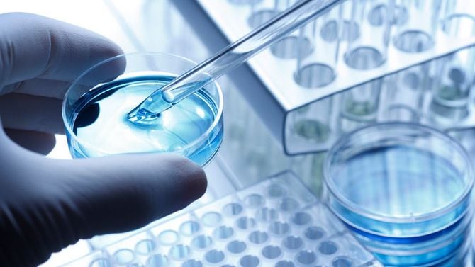 科学者がシャーレからサンプルを取り出す