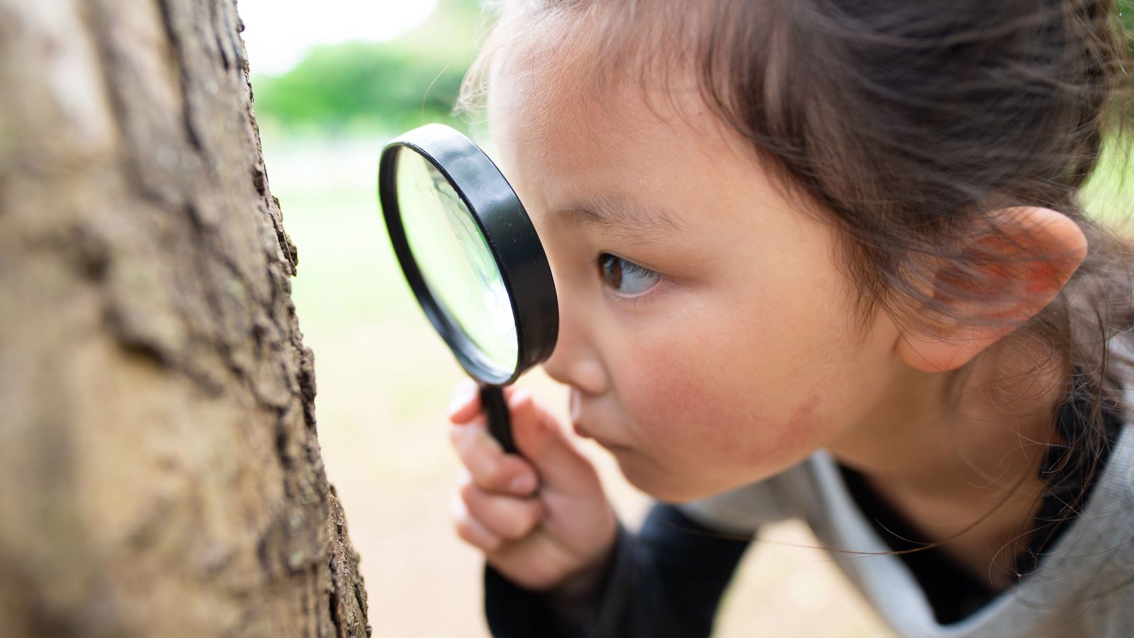 ｢ジャガイモは水に浮くか?｣本当にできる子供は4歳時点でこう考える ｢テストで満点｣より不可欠な能力