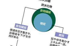 ハーバード大1万5000人×25年追跡調査でわかった｢最も長生きできる炭水化物の意外な割合｣