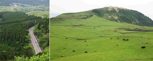 <strong>阿蘇</strong>：熊本・阿蘇の草千里の雄大な眺めは、ドライブスポットとしては最高のロケーションだろう。
