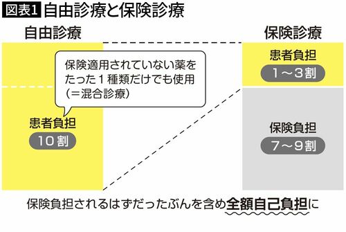 【図表1】自由診療と保険診療