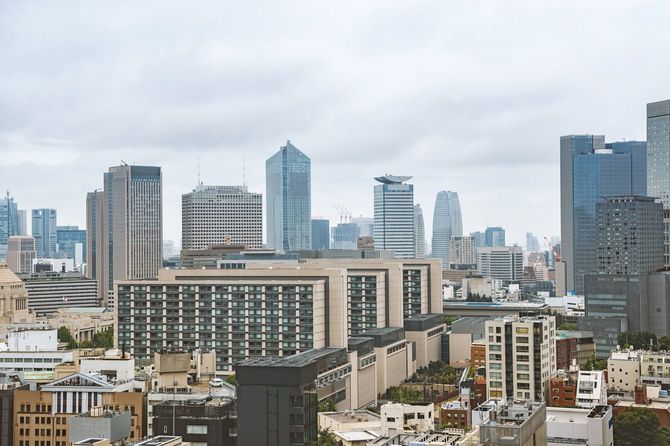 国会議事堂が端に見える曇天の景色