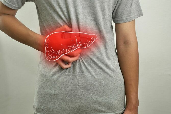 男性の赤い炎症が強調されたヒト肝臓のデジタル合成