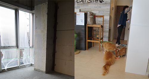 開業前の様子（左）「ケット・シー」開業後の店内（右）