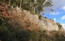 山全体を埋め尽くす石垣､苔むした秘密の隠し扉…滋賀県にある戦国有数の巨大山城｢観音寺城｣の遺構をたどる