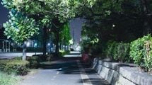 エビやカニを想わせる濃密な旨味とコク…近所の公園でタダで採れる｢今が旬｣な高級食材の名前