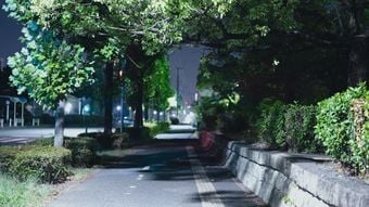 エビやカニを想わせる濃密な旨味とコク…近所の公園でタダで採れる｢今が旬｣な高級食材の名前