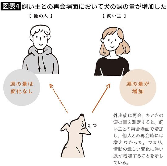 【図表4】飼い主との再会場面において犬の涙の量が増加した