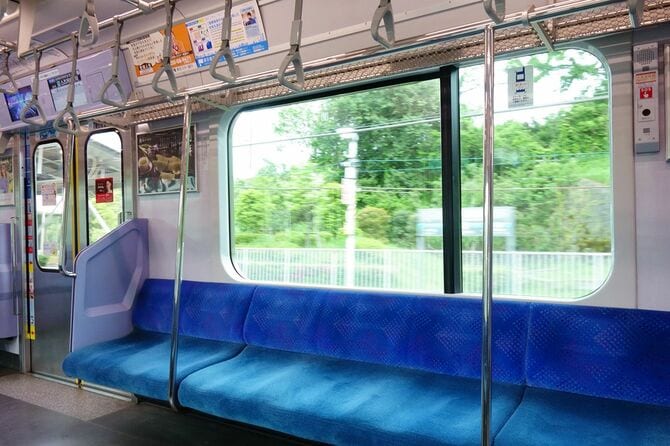 電車の窓から緑の景色が見える