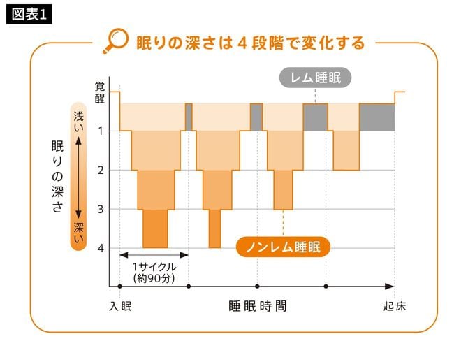 眠りの深さは4段階で変化する