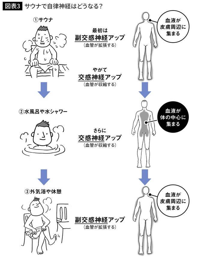 サウナで自律神経はどうなる？