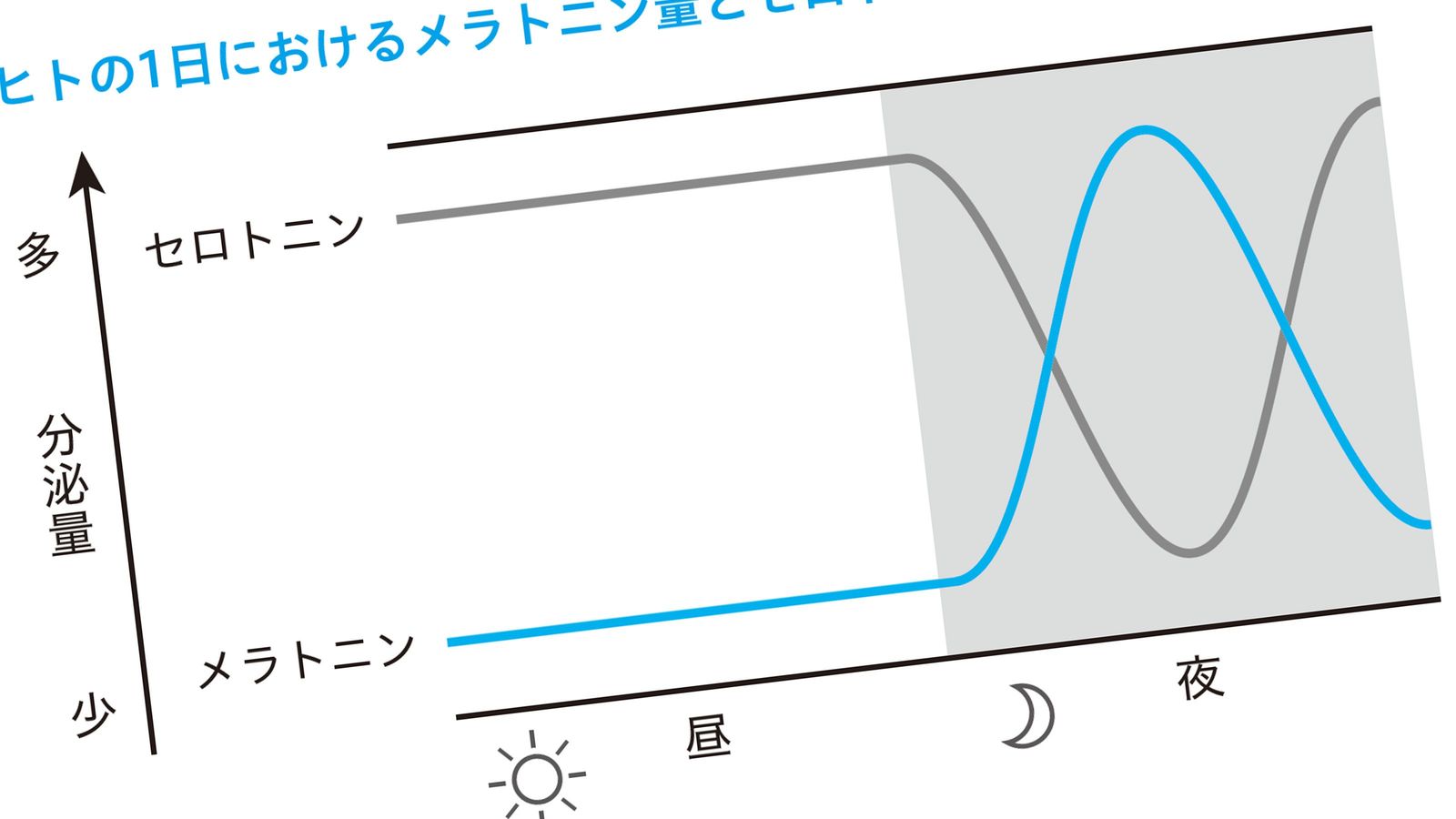 歯磨きをする場所を変えるだけ…眠りの質が格段に高まる｢起床直後の黄金ルーティン｣ 脳は朝の光を感知すると､約16時間後に眠くなるリズムがつくられる