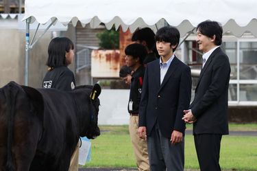 悠仁さまの進学先は東大? 農大? 筑波大?…高2の秋になっても進学