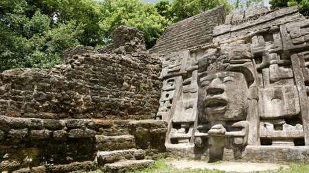 マヤ文明の遺跡400ヶ所､空からの測量で一挙発見 日本人考古学者率いる