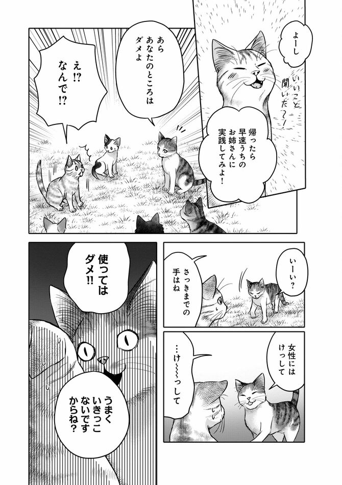 コミック『猫語の教科書』©沙嶋カタナ、ポール・ギャリコ／KADOKAWA